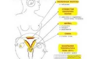 Прогестерон: зачем нужен этот гормон в организме и как он работает, норма у женщин