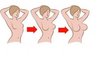 Как растет и развивается грудь: основные стадии формирования молочной железы у женщины