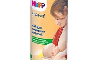 Чай для улучшения лактации: когда и какой принимать