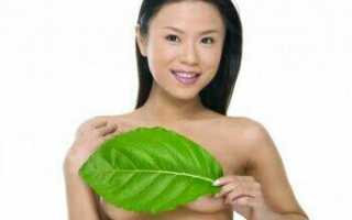 Как вылечить мастит народными средствами