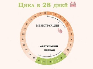 менструация