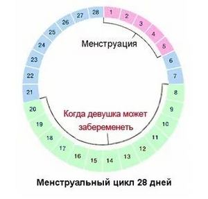 менструация