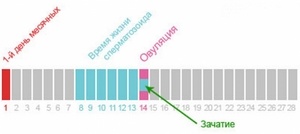 дни для зачатия