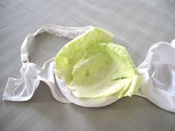 капустный листок