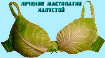 лечение народным средством