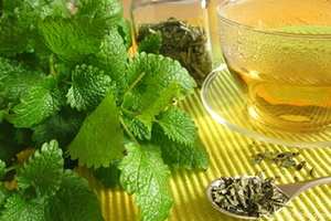 напиток с мелиссой