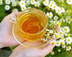 ромашковый напиток для женщин