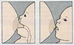 как верно кормить ребенка, схема