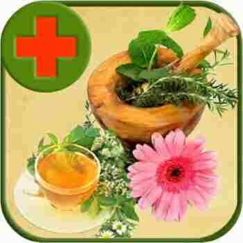 народное лечение должно проводиться вместе с медицинским народное лечение должно проводиться вместе с медицинским