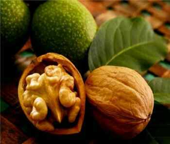 перегородки грецкого ореха - целебное народное средство перегородки грецкого ореха - целебное народное средство