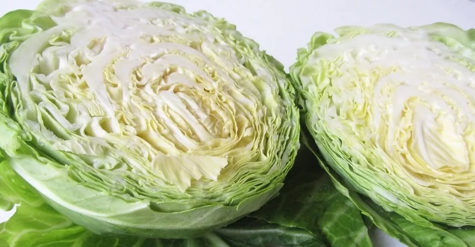 При псориазе рекомендовано ввести в рацион белокочанную капусту