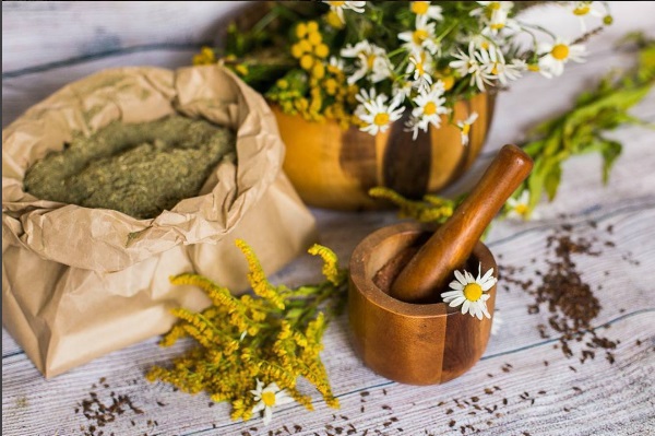 Среди препаратов народной медицины против псориаза особенно эффективны чистотел и листья бузины