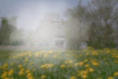 зрение человека при катаракте