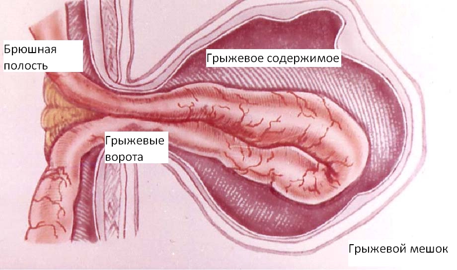 KARTINKA423